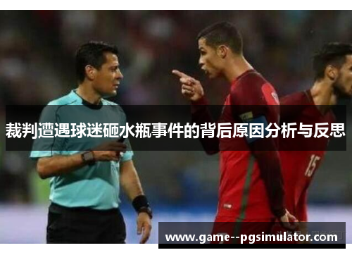 裁判遭遇球迷砸水瓶事件的背后原因分析与反思