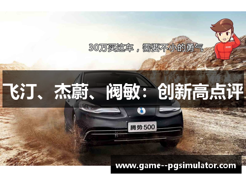 飞汀、杰蔚、阀敏：创新高点评