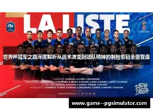 世界杯冠军之路深度解析从战术演变到团队精神的制胜密码全面复盘
